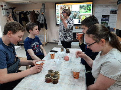 34-я школа вновь в гостях у Пчелотеки